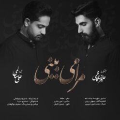 دانلود آهنگ علی سالمی مرا می‌بینی